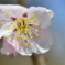 1-NAO_9951