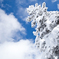 －13℃