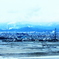 TSURUGA