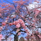 万博公園