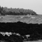 CSC_0204