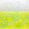 yellow spring