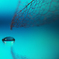Drops of life