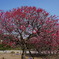 DSC00068