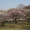 DSC00081