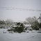 雪