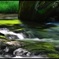 Green flow 