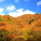 秋の山