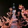 桜色