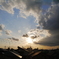 P1020089