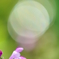 目覚めの時