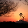 富士夕景