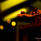 Dragon Fire