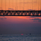 20140322-IMG_4462