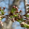 DSCN0449