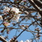 DSCN0452