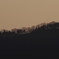 夕暮れ