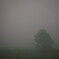 Fog