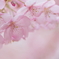 Soft pink