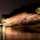 夜桜5