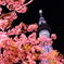 桜ツリー VII