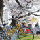 幸せを呼ぶ(？)黄色い自転車