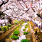 "Spring promenade"