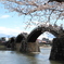 錦帯橋と桜