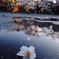 2014桜