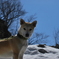 栃木 の山中にて