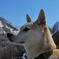 栃木 の山中にて