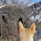栃木 の山中にて