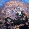 六義園　桜