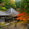 仏通寺の山の上