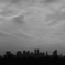 DSCF2324