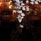 夜２