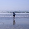 由比ケ浜の春