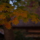 夕暮れ