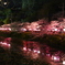 茂原公園夜桜