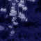 桜・幽玄
