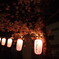 夜桜