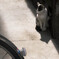 陽だまり