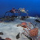 鳥羽水族館