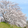 物見遊山