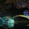 夜桜と錦帯橋
