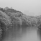 雨に煙る