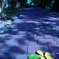 leaflower