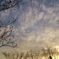 空