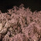 20140330-IMG_3359