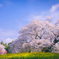 sakura～300年の時を超えて～